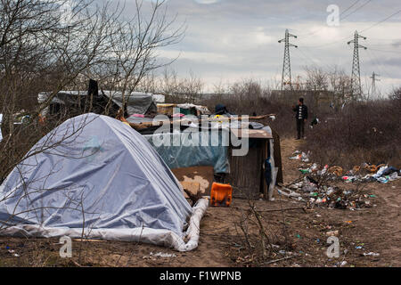 Illegale Einwanderer aus Afghanistan, Syrien Leben in Zelten in der Region bekannt als "der Dschungel" in Calais, Frankreich Stockfoto