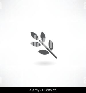 Zweig einer Pflanze mit grünen Blättern, die isoliert auf weißem Hintergrund. Vektor-Illustration für design Stock Vektor