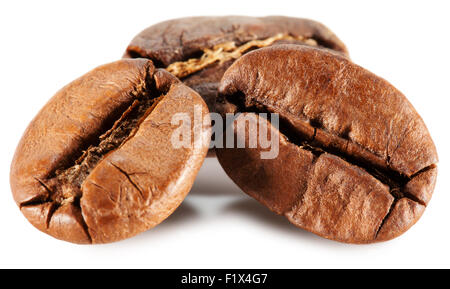 Kaffee Körner auf dem weißen Hintergrund isoliert. Stockfoto