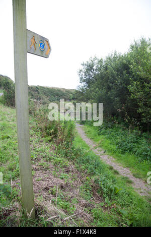 Wales Küstenpfad Wegpunkt / Datum und Fußweg hinunter zum Porth Ysgo, Llanfaelrhys, Aberdaron, Llyn Halbinsel, Wales Stockfoto