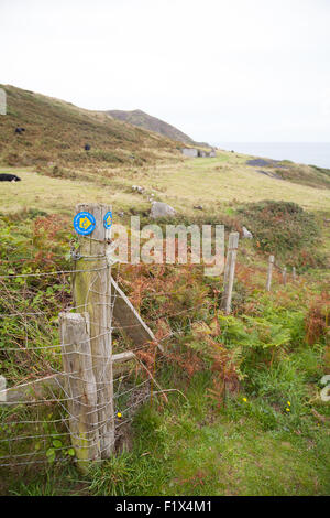 Wales Küstenpfad Wegpunkt / Fußweg hinunter Porth Ysgo, Llanfaelrhys, Aberdaron, Llyn Halbinsel, Wales Stockfoto