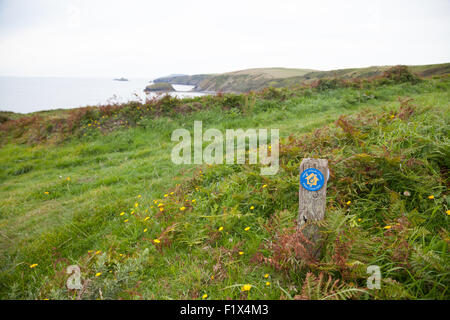 Wales Küstenpfad Wegpunkt / Fußweg hinunter Porth Ysgo, Llanfaelrhys, Aberdaron, Llyn Halbinsel, Wales Stockfoto