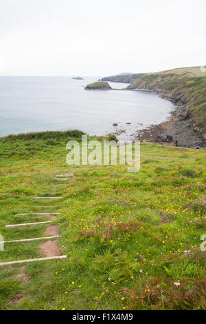 Wales Küstenpfad Wanderweg / Erde Stufen führen hinunter zu Porth Ysgo, Llanfaelrhys, Aberdaron, Llyn Halbinsel, Wales Stockfoto