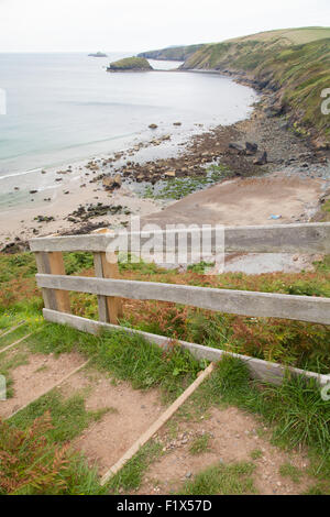 Erde-Stufen mit Handlauf aus Holz auf Fußweg hinunter Porth Ysgo, Llanfaelrhys, Aberdaron, Llyn Halbinsel, Wales Stockfoto