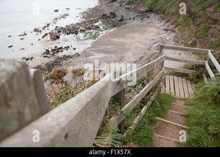 Erde-Stufen mit Handlauf aus Holz auf Fußweg hinunter Porth Ysgo, Llanfaelrhys, Aberdaron, Llyn Halbinsel, Wales Stockfoto