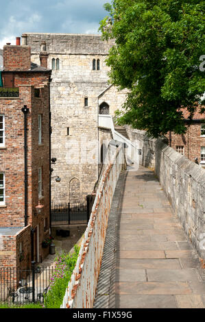 Die Stadtmauer an Monk Bar, York, Yorkshire, England, UK Stockfoto