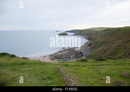 Wanderweg und Bach hinunter Porth Ysgo, Llanfaelrhys, Aberdaron, Llyn Halbinsel Wales an einem Sommertag Stockfoto