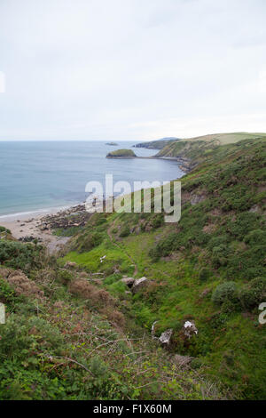 Wanderweg und Bach hinunter Porth Ysgo, Llanfaelrhys, Aberdaron, Llyn Halbinsel Wales an einem Sommertag Stockfoto