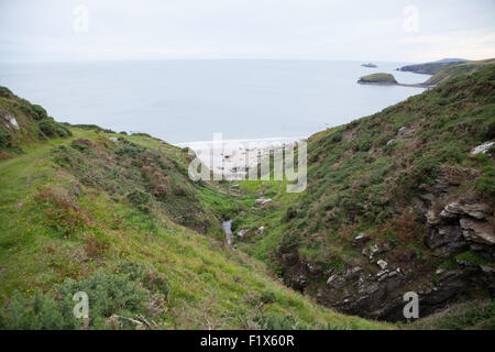 Wanderweg und Bach hinunter Porth Ysgo, Llanfaelrhys, Aberdaron, Llyn Halbinsel Wales an einem Sommertag Stockfoto