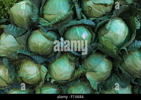 Frischer Kohl zum Verkauf am neuen Markt, Bhopal, Madhya Pradesh, Indien Stockfoto