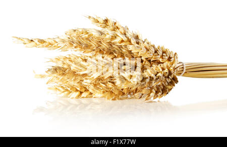 Weizenähren isoliert auf weißem Hintergrund. Stockfoto
