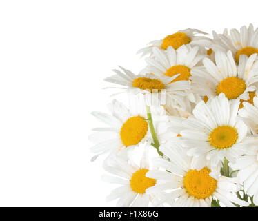Daisy Bouquet auf dem weißen Hintergrund. Stockfoto