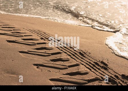 Reifenspuren auf dem Sand in der Nähe von Meer. Stockfoto