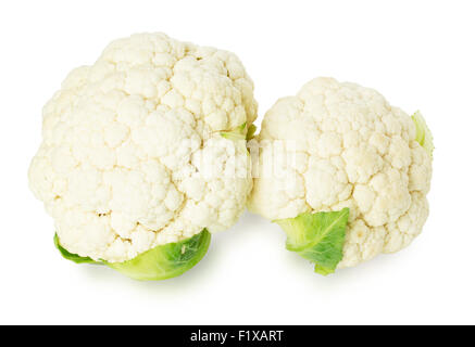 Blumenkohl auf dem weißen Hintergrund. Stockfoto