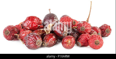 Getrockneten Hagebutten Beeren auf einem weißen Hintergrund. Stockfoto