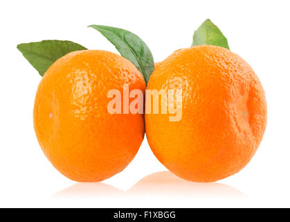 Reife Mandarinen mit Blättern isoliert auf weiss. Stockfoto