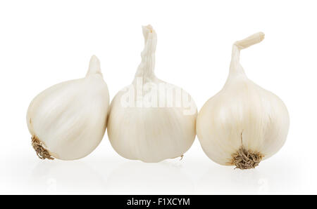 Knoblauch, isoliert auf weiss. Stockfoto