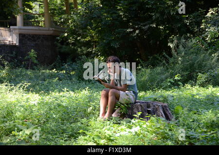 Mann liest Buch sitzen im Prospect Park brooklyn Stockfoto