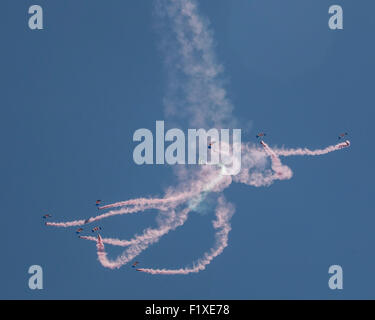 Die Royal Air Force Falcons Fallschirm Display Team auf der Airshow 2015 Shoreham Stockfoto