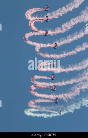 Die Royal Air Force Falcons Fallschirm Display Team auf der Airshow 2015 Shoreham Stockfoto