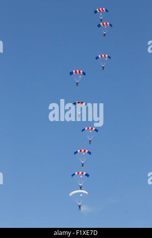 Die Royal Air Force Falcons Fallschirm Display Team auf der Airshow 2015 Shoreham Stockfoto