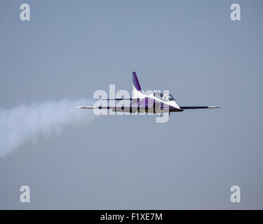 Radio-kontrollierte Jet-Modellflugzeuge auf der Luftfahrtmesse 2015 Shoreham Stockfoto