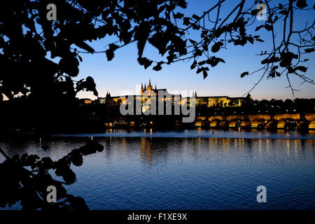 Nächtlicher Blick auf die Prager Skyline mit St Vitus Cathedral und der Hradschin Burg, Prag, Tschechische Republik Stockfoto