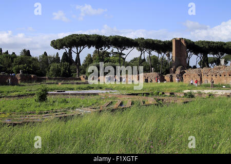 Antike Ruinen, alten römischen Reiches, dem Palatin. Monte Palatino, Palatinum. Das Stadio Domus Augustana. Rom, Italien. Stockfoto