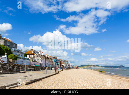 Der Stadtstrand und Marine Parade, Lyme Regis, Lyme Bay, Jurassic Coast, Dorset, England, UK Stockfoto