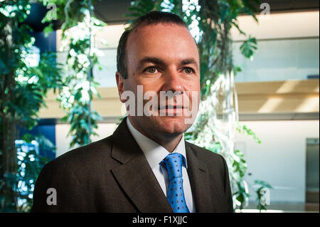 Mitglied des Europäischen Parlaments (MdEP) und Vorsitzender der EVP-Gruppe Manfred Weber am Hauptsitz der Europäischen Parlaments in Straßburg auf 08.09.2015 Stockfoto