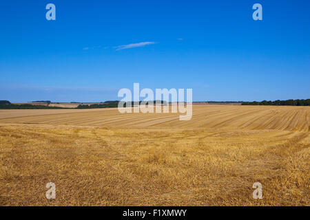 Muster und Texturen der goldenen Stoppelfeldern in der Agrarlandschaft die Yorkshire Wolds im September. Stockfoto