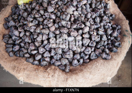 Amritsar, Punjab, Indien. Singhara - indischer Name - schwarze Wasserkastanien oder Wasser Caltrop der Gattung Trapa. Bekannt als Paniphal in Bangladesch. Stockfoto