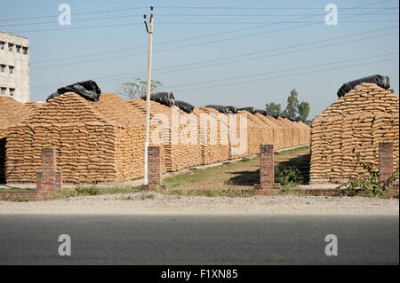 Amritsar, Punjab, Indien. Getreidespeicher von der Straße. Stockfoto