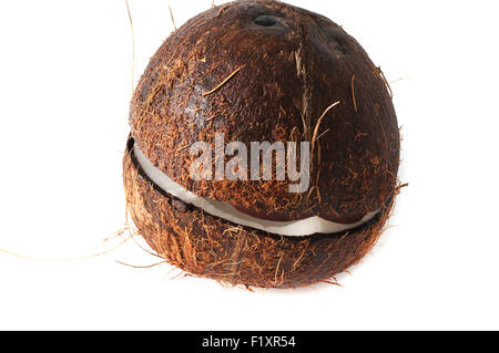 Kokosnuss in Hälfte gebrochen Stockfoto