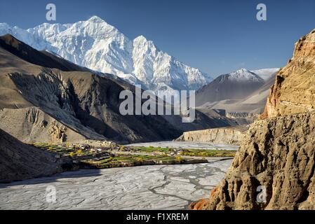 Nepal, Gandaki zone, Upper Mustang (nahe der Grenze zu Tibet), Dorf der Chuksang (2900m) umgeben von Feldern im Tal des Flusses Kali Gandaki, Nilgiri-Gipfel (7061m) Stockfoto