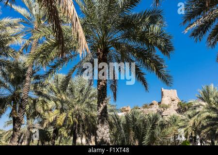 Sultanat von Oman, Gouvernorate Al-Batinah, Wadi Bani Awf in Al-Hajar-Gebirge-Bereich, Bilad Sayt Dorf Stockfoto