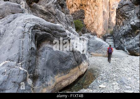 Sultanat von Oman, Gouvernorate Al-Batinah, Wadi Bani Awf in Al-Hajar-Gebirge-Bereich, Little Snake Canyon Stockfoto