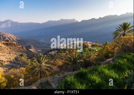 Sultanat von Oman, Gouvernorate Al-Batinah, Al Hajar Bergkette, Art Dorf im Wadi Mistall Stockfoto