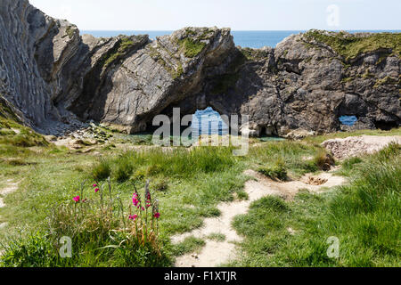 Treppe Loch, West Lulworth, Isle of Purbeck, Dorset Stockfoto