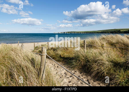 Studland Beach und Blick in Richtung Old Harry Rocks, Isle of Purbeck, Dorset Stockfoto