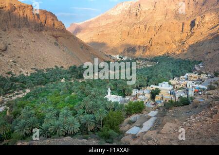 Oman, Wadi Tiwi, das Dorf und seine Palmenhain in der Abenddämmerung Stockfoto