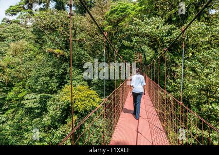 Costa Rica, Provinz Puntarenas, Monteverde Nebelwald, Reserva Biologica del Bosque (biologische Reserve des Nebelwaldes) Stockfoto