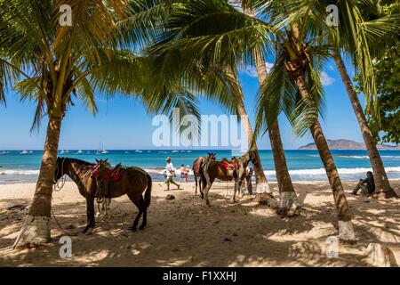 Costa Rica, Guanacaste Provinz, Nicoya Halbinsel, Playa Tamarindo Stockfoto