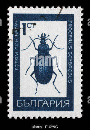 Stempel, gedruckt in Bulgarien zeigt Käfer ca. 1968 Stockfoto