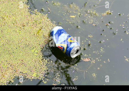 Ausrangierte Fosters Bier kann auf See Stockfoto