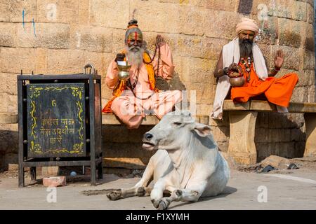 Indien, Bundesstaat Rajasthan, Wallburg von Rajasthan Weltkulturerbe von UNESCO, Jaisalmer, Sadhus, die heiligen Männer vor der Festung Stockfoto