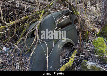 Rostige alte Auto im Wald versteckt Stockfoto