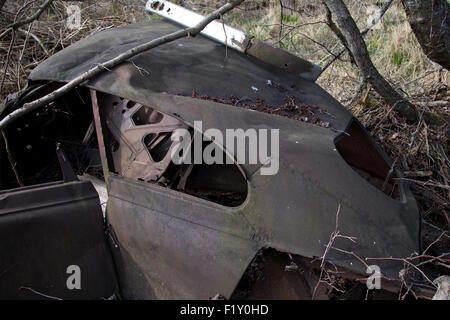 Rostige alte Auto im Wald versteckt Stockfoto