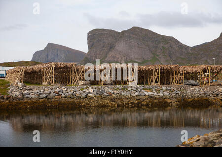 Rangliste mit Stockfisch auf den Lofoten-Norwegen Stockfoto