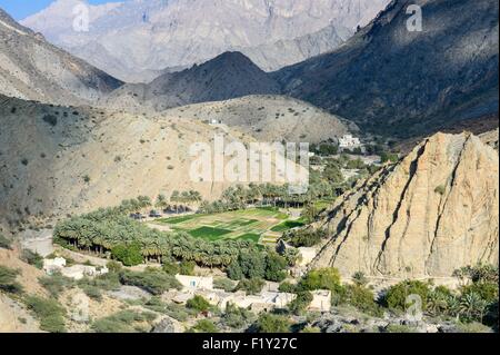 Sultanat von Oman, Gouvernorate Al-Batinah, Wadi Bani Awf in Al-Hajar-Gebirge-Bereich, Az Zammah Dorf Stockfoto